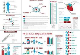 人体运动统计图表图片