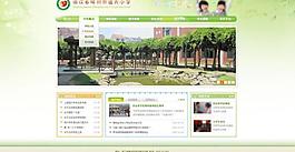 易狼網絡 案例展示圖片