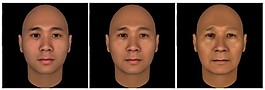 人物模型不同年齡段3D模型