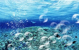 高清晰浪漫透明泡泡筆刷集