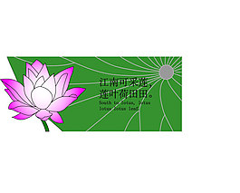 荷花