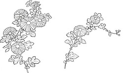 矢量圖庫花草