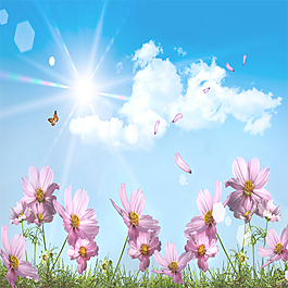 春暖花開