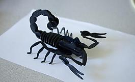 scorpion