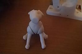 doggie