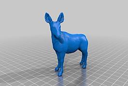 okapi