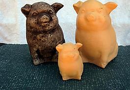 lucky pig