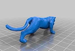 leopard