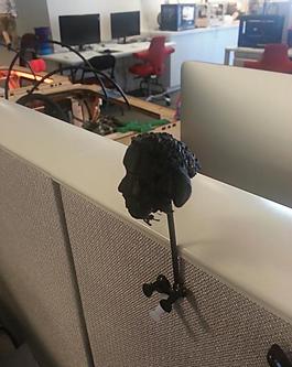sheeptrick wolloy