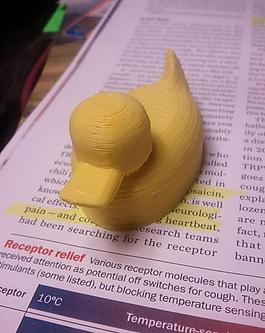 rubber duck