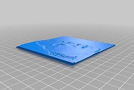 my customized lithophane