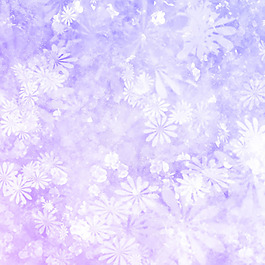 紫色花紋