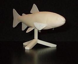 虹鱒魚