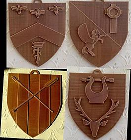 shieldlet