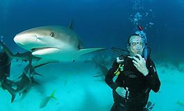 gopro monopod mount for diving