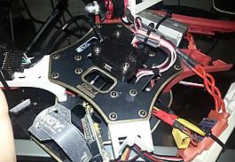 cc3d案例