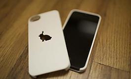 iphone 5的兔子案例