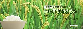 大米 淘寶圖片