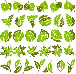 綠色的矢量葉子