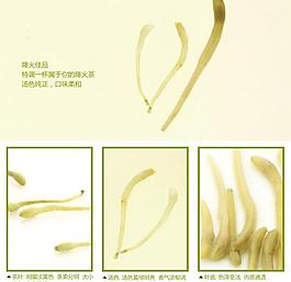 花茶淘宝页图片