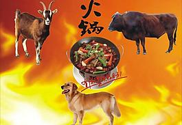 牛羊狗火鍋圖片