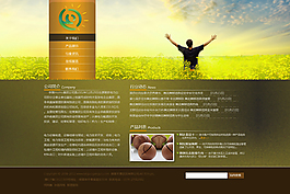 集團(tuán)公司網(wǎng)站首頁(yè)psd效果圖