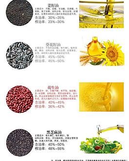 油品介紹榨油數(shù)據(jù)圖片