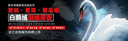 冬装 广告图片