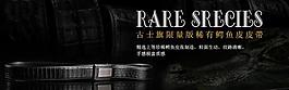 皮带海报 首页海报图片