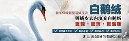 冬装 羽绒服图片