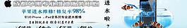 手機(jī) 輪播圖圖片