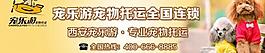 寵物宣傳海報圖片