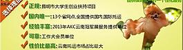 我們的優勢 選擇理由圖片