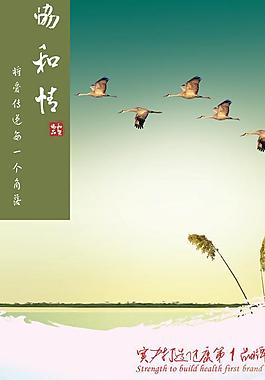 醫(yī)院宣傳圖片