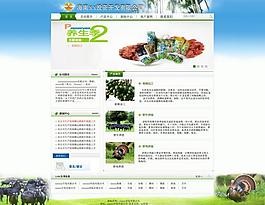 網(wǎng)頁設(shè)計圖片