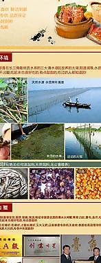 大閘蟹網頁圖片