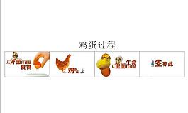 鸡蛋