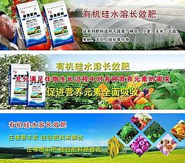 網(wǎng)頁banner圖片