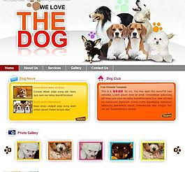 寵物樂(lè)園網(wǎng)頁(yè)模板圖片