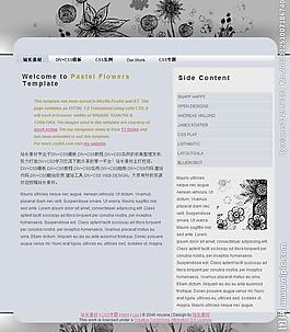 中國風(fēng)css網(wǎng)頁模板圖片