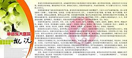 东大医院简介图片