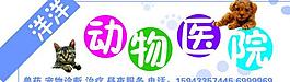 動(dòng)物醫(yī)院圖片