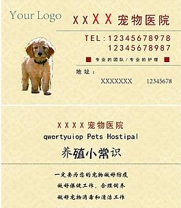 寵物醫(yī)院名片圖片
