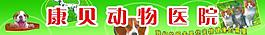 動物醫(yī)院圖片