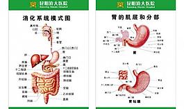 滇大医院肠胃图片