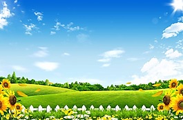 草地