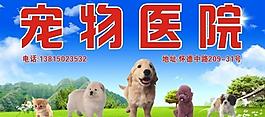 寵物醫(yī)院圖片