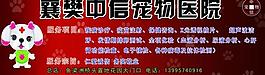 宠物医院广告图片