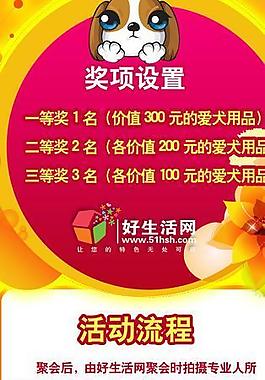 寵物醫(yī)院圖片