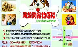 寵物醫(yī)院dm海報圖片